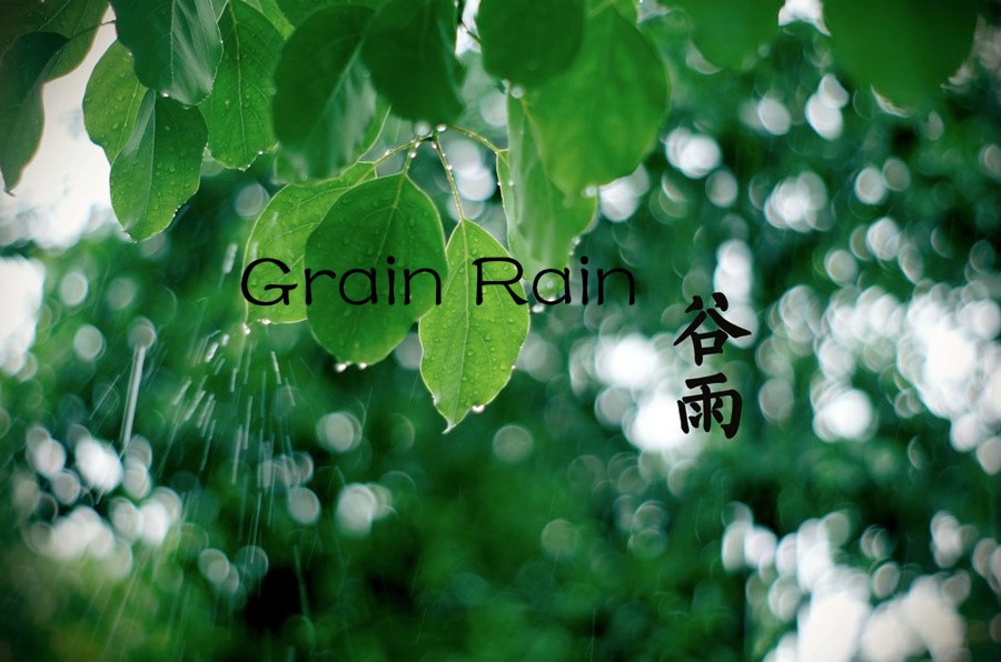 Grain Rain