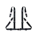 4 Point Safety Belt