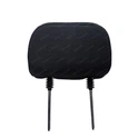 Driver Headrest